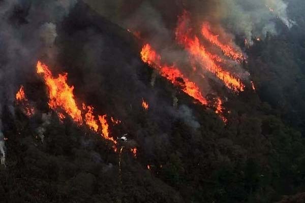 firel01